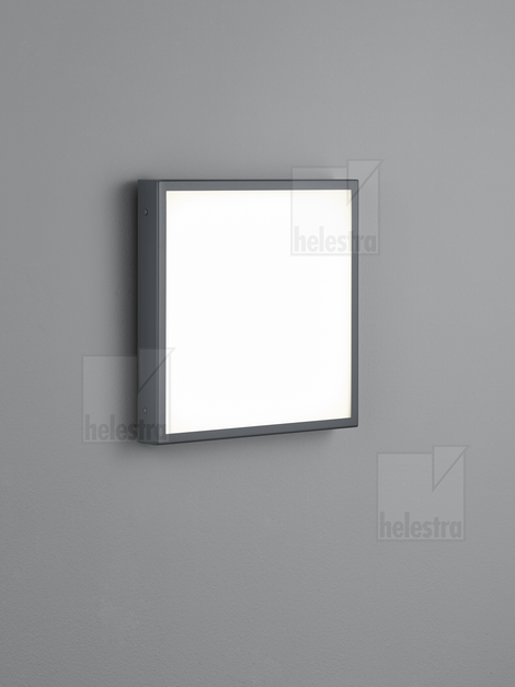 Helestra SCALA Wand-/Deckenleuchte Edelstahl graphit