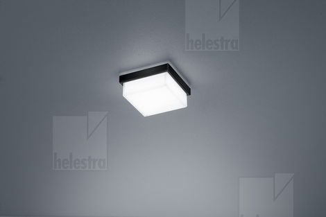 Helestra COSI Wand-/Deckenleuchte Stahl mattschwarz